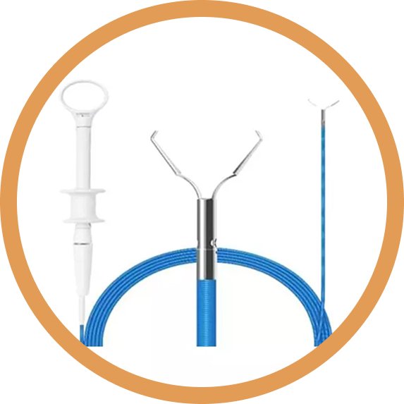 Endoscopic Clip Application