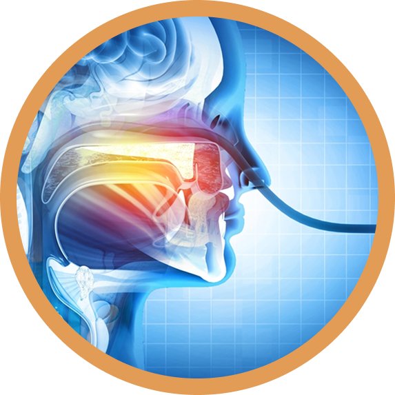 Nasogastric/Nasojejunal Tube Placement